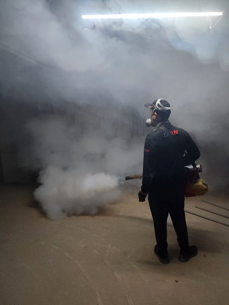 484889697 1123668139774316 6931056419410112118 n