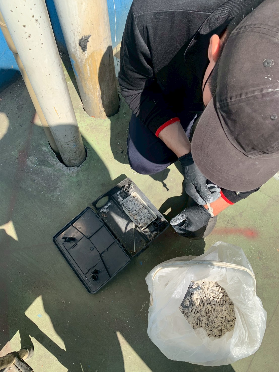 561178809 1301231732017955 2445947993805790355 n