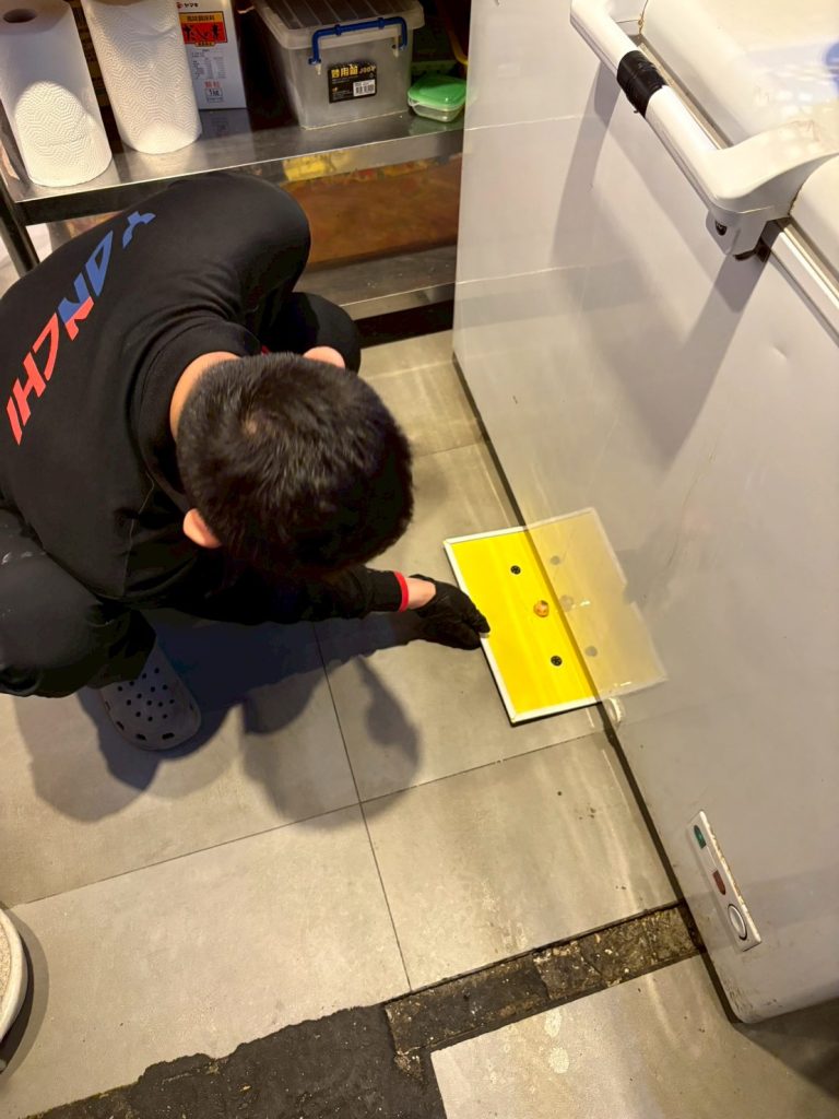 584268924 1331560655651729 3486022011760112003 n