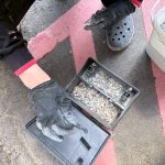 專業滅鼠公司戶外定期投藥維護紀錄