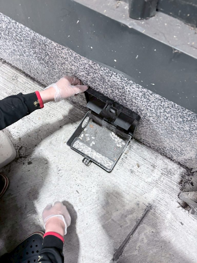 line album 2026226 森邦 消毒巡檢 260308 4