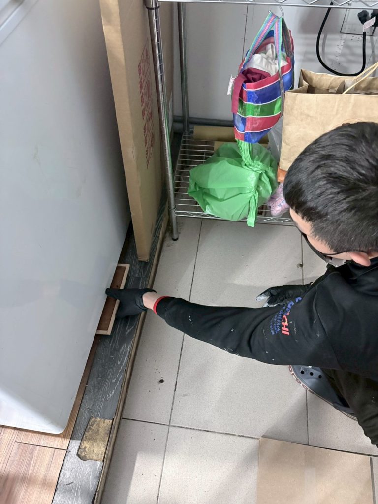 line album 202623 太朗飯糰 內湖店 巡檢 投藥 260308 4