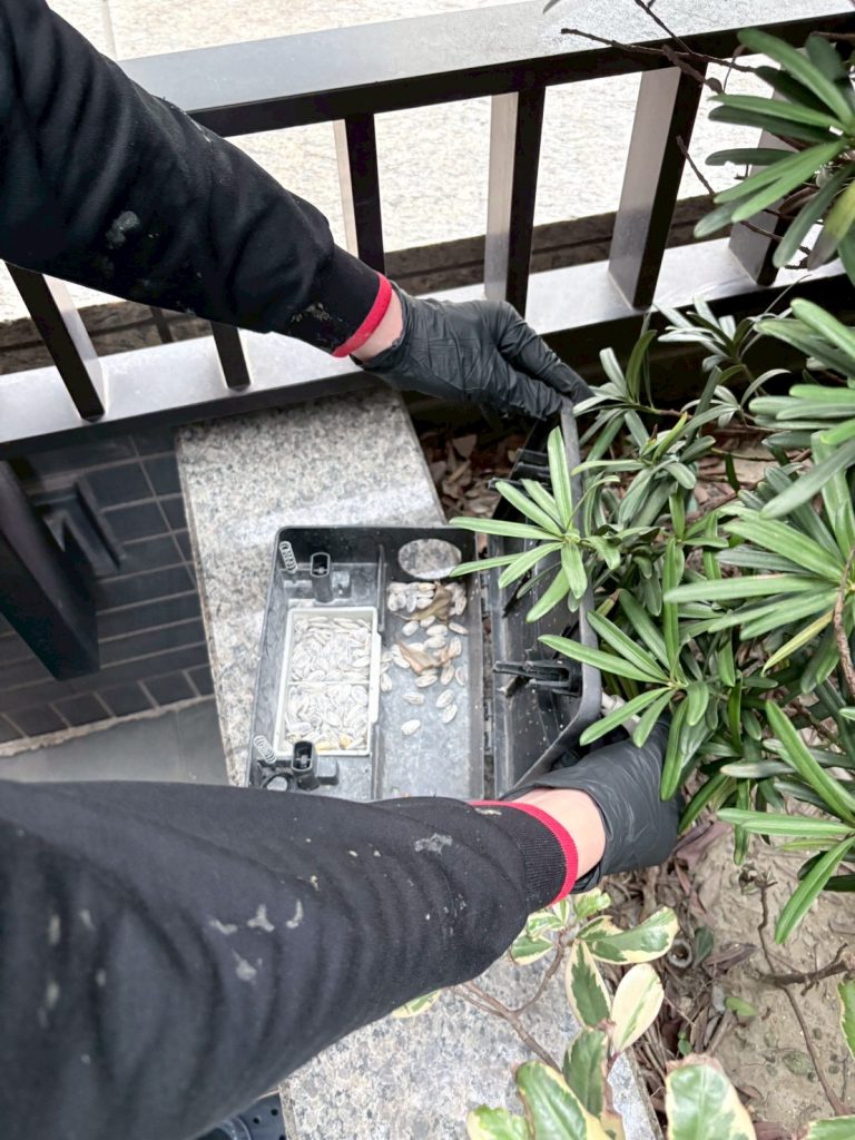 line album 202625 遠雄park one 巡檢投藥 260308 4