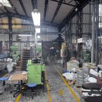 新店跳蚤消毒-防治流浪貓危害