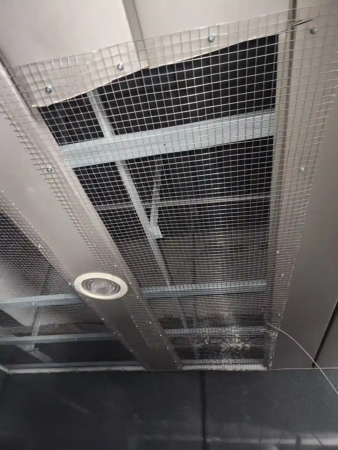 台北專業消毒公司-除鼠公司強力封堵老鼠路徑