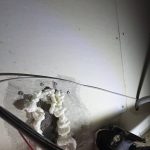 新北市大學老師辦公室老鼠防治案例