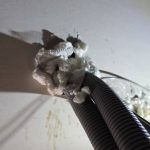 專業滅鼠公司進行天花板孔洞封堵