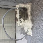 大學老師辦公室老鼠防治案例