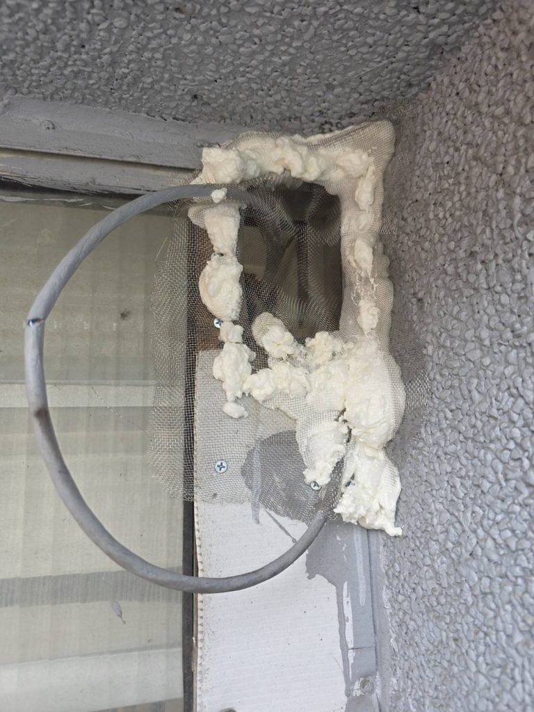 大學老師辦公室老鼠防治案例