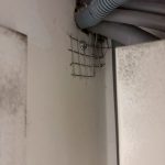 中和區美容中心老鼠防治現場勘查