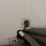 專業滅鼠公司進行美容店面管道封堵