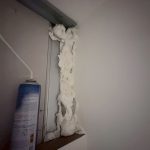 中和消毒公司美容會館環境滅鼠公司紀錄