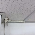 新莊消毒公司寵物店毛孩友善環境清消紀錄