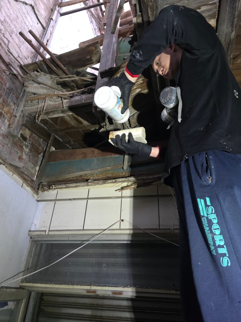 中正區除蟲公司古蹟木結構例行巡檢紀錄