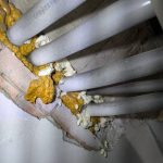 詠琦病媒防治中和區辦公室鼠害防治與環境消毒完工紀錄