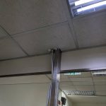 中和區商辦大樓辦公室天花板與高架地板鼠害痕跡現勘