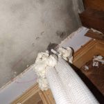 詠琦病媒防治天花板內部物理捕鼠陷阱佈署與環境消毒完工紀錄