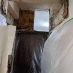 內湖除蟲公司技術人員進行白蟻危害評估與室內保護工程