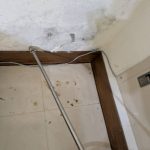 協助拆除遭到白蟻嚴重侵蝕蛀空的木作櫃體與結構
