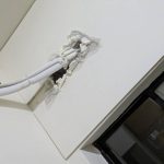 在老鼠活動動線上科學化佈設室內高效捕鼠陷阱