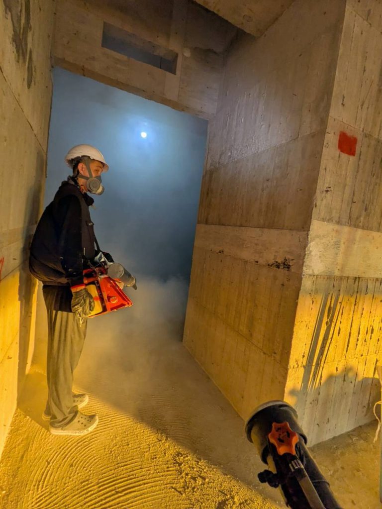 內湖區建案工地地下室與筏基坑積水蚊蟲現勘紀錄