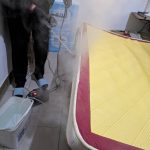 木柵除蟲公司技術人員進行住家現場臭蟲危害評估與藏匿點排查