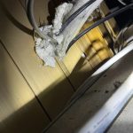 台北除蟲公司技術人員進行住家現場老鼠路徑診斷與藏匿點評估