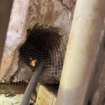 詠琦病媒防治完成台北住家案場老鼠防堵與周邊環境安全清消